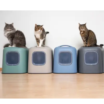 שירותים גדולים לחתול - פתרון מרווח ונוח לחתול שלך